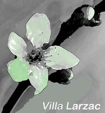 Larzac Holiday home